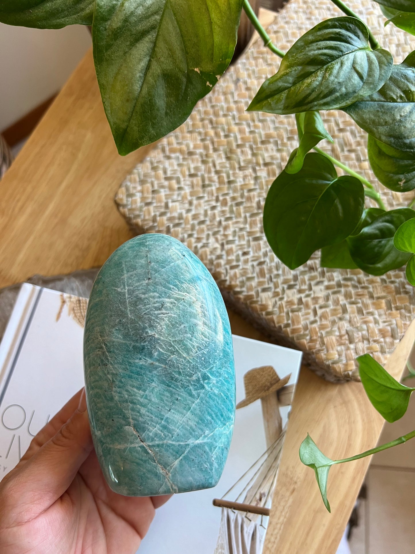 Amazonite Freeform - A