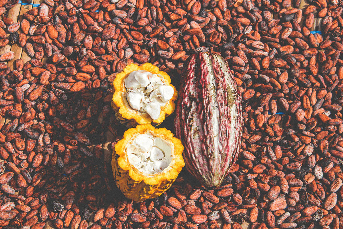 Peruvian Ceremonial Cacao