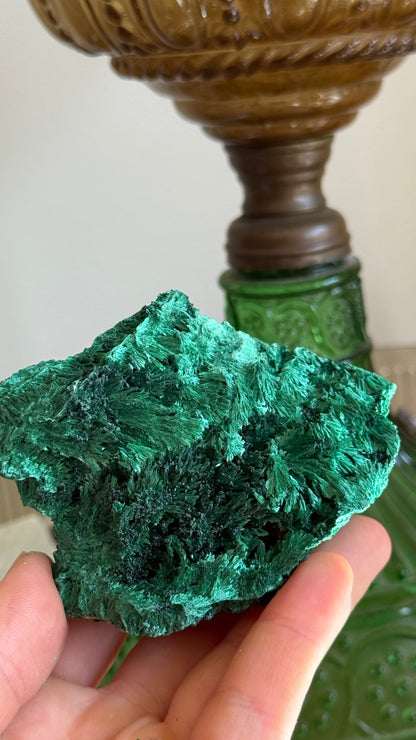 Velvety Malachite B