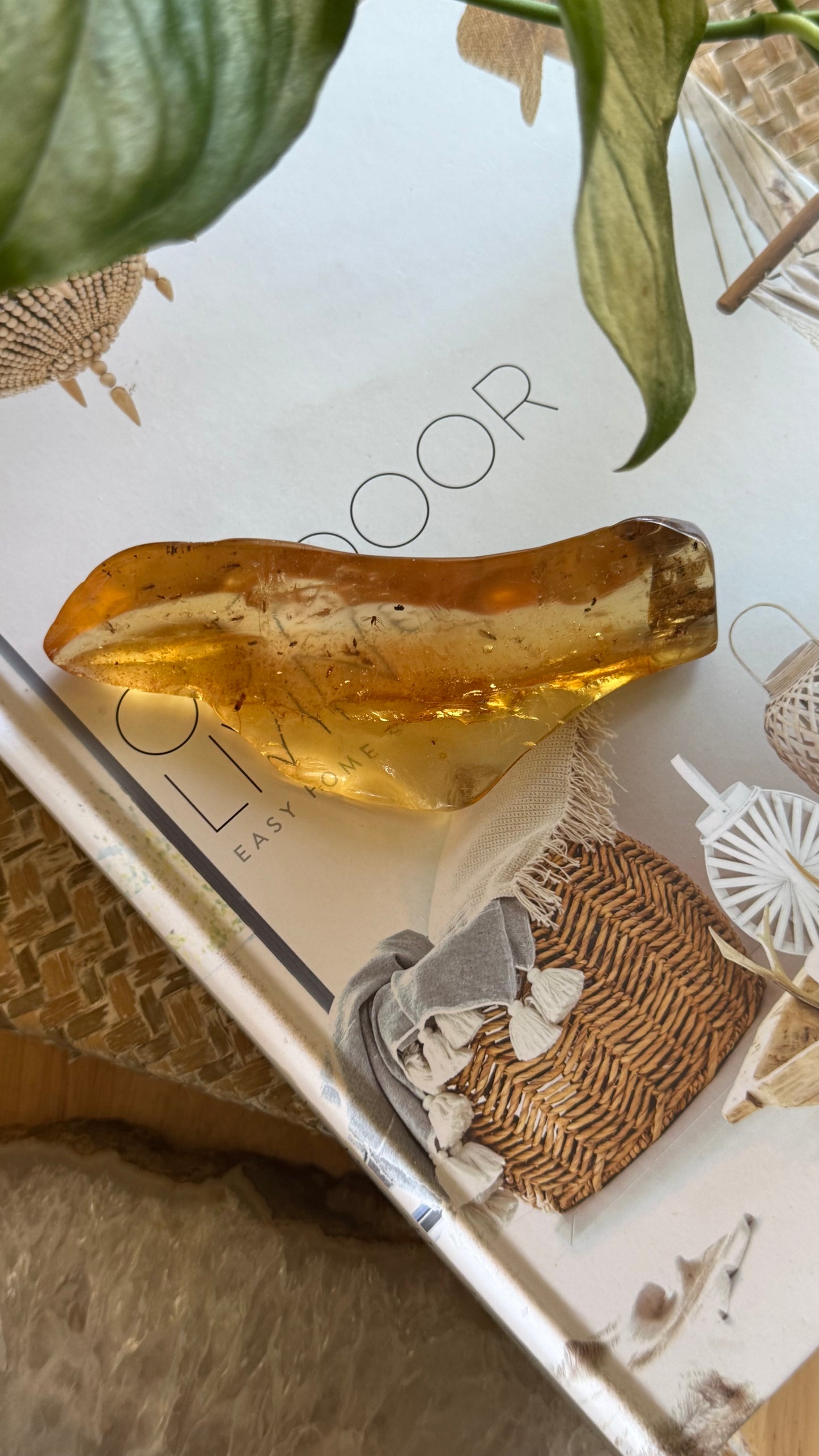 Amber with insects
