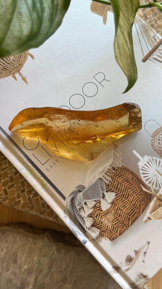 Amber with insects