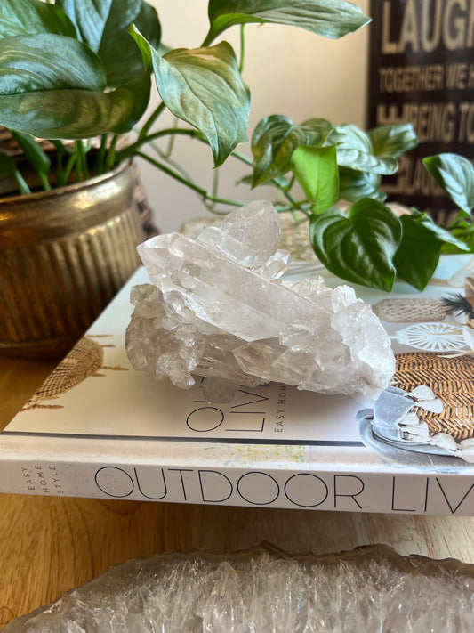 Clear Quartz cluster