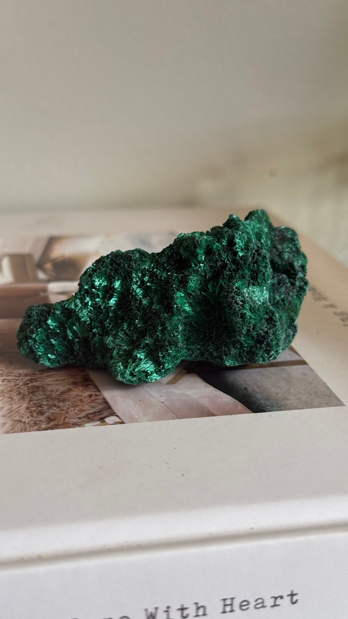 Velvety Malachite C