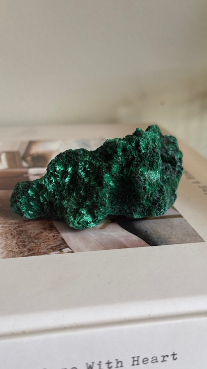 Velvety Malachite C