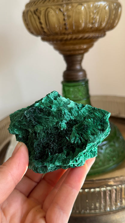 Velvety Malachite B