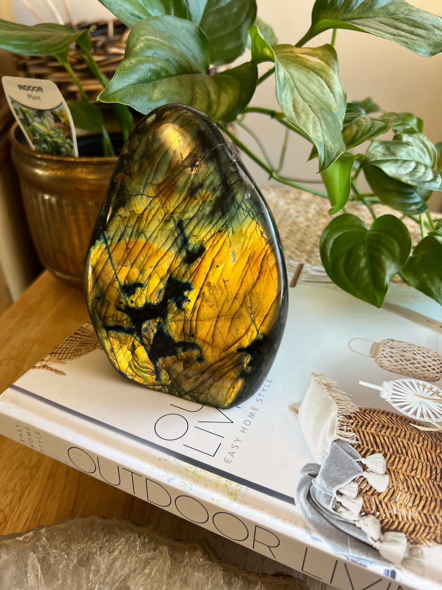 Labradorite Freeform - A