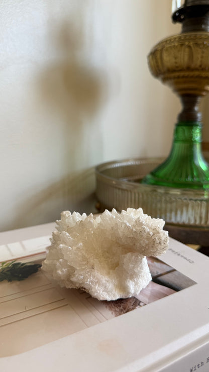 White aragonite - D