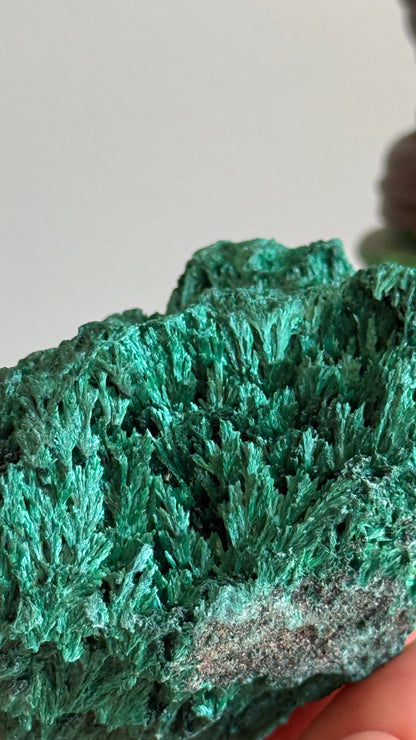 Velvety Malchite A