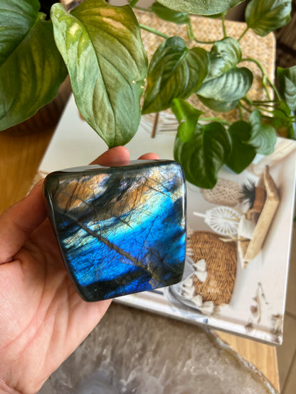 Labradorite Freeform - C