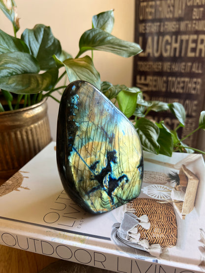 Labradorite Freeform - A